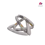 هاتداگ پنیری 60% فله میکائیلیان